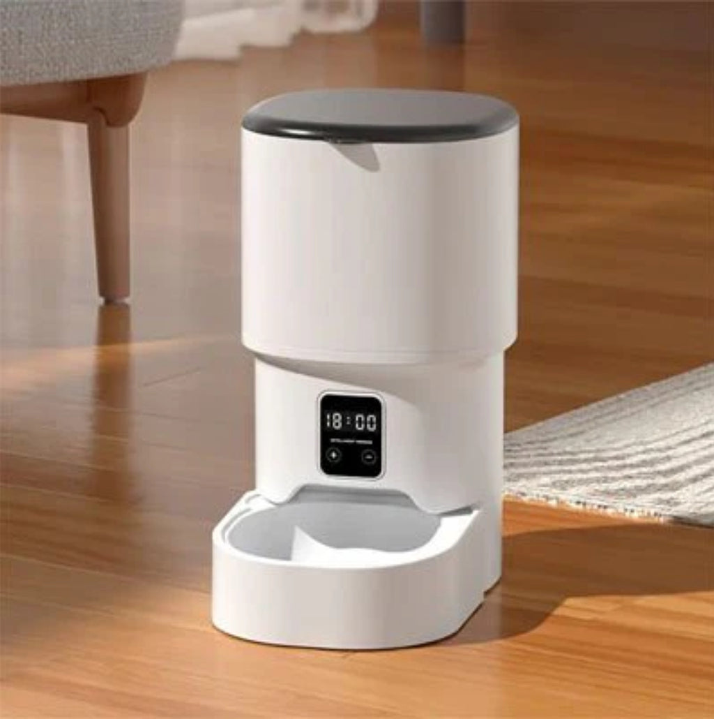 distributore di crocchette per gatti |automatico