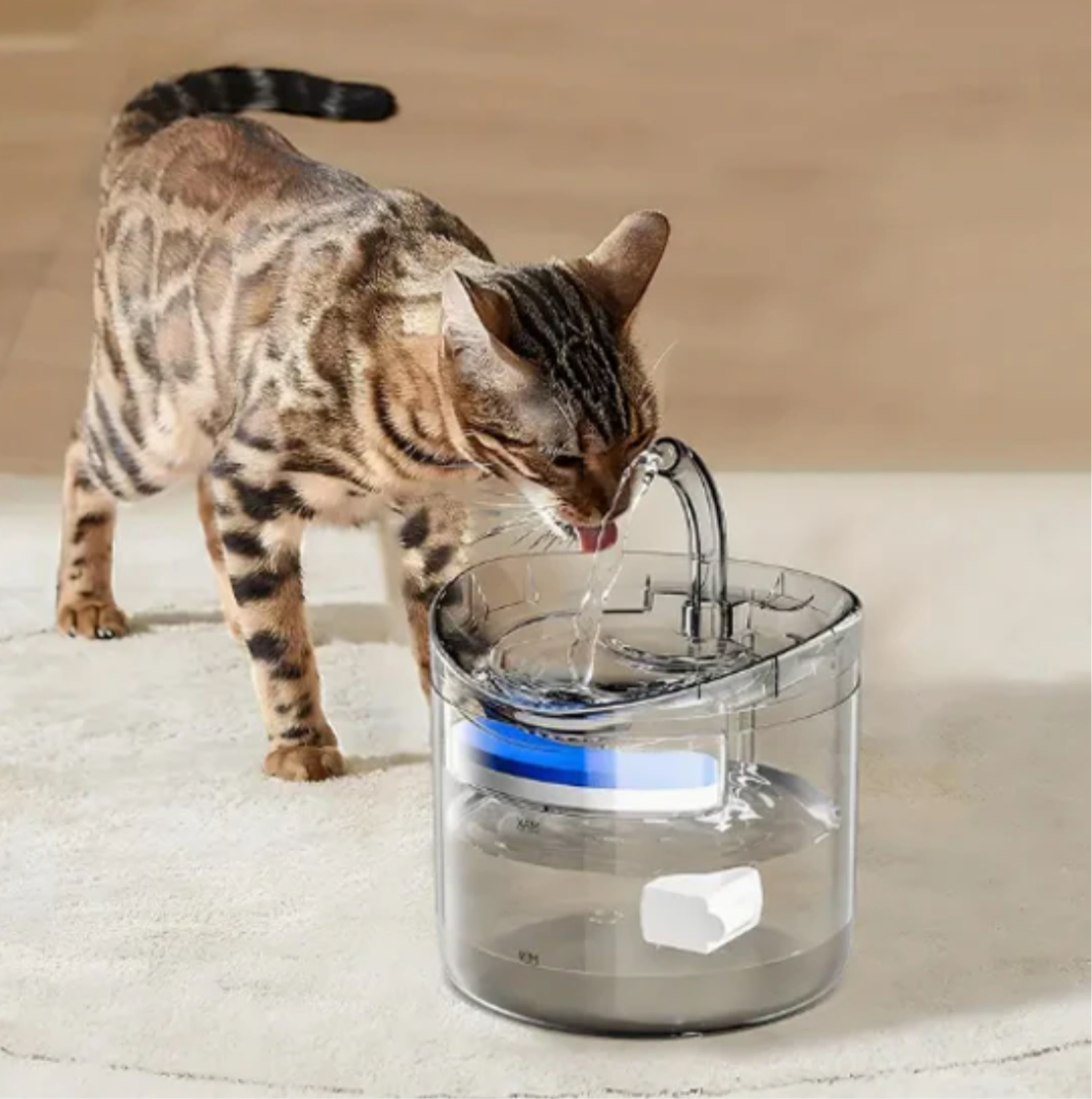 Fontana d'acqua per gatti con sensore di movimento trasparente