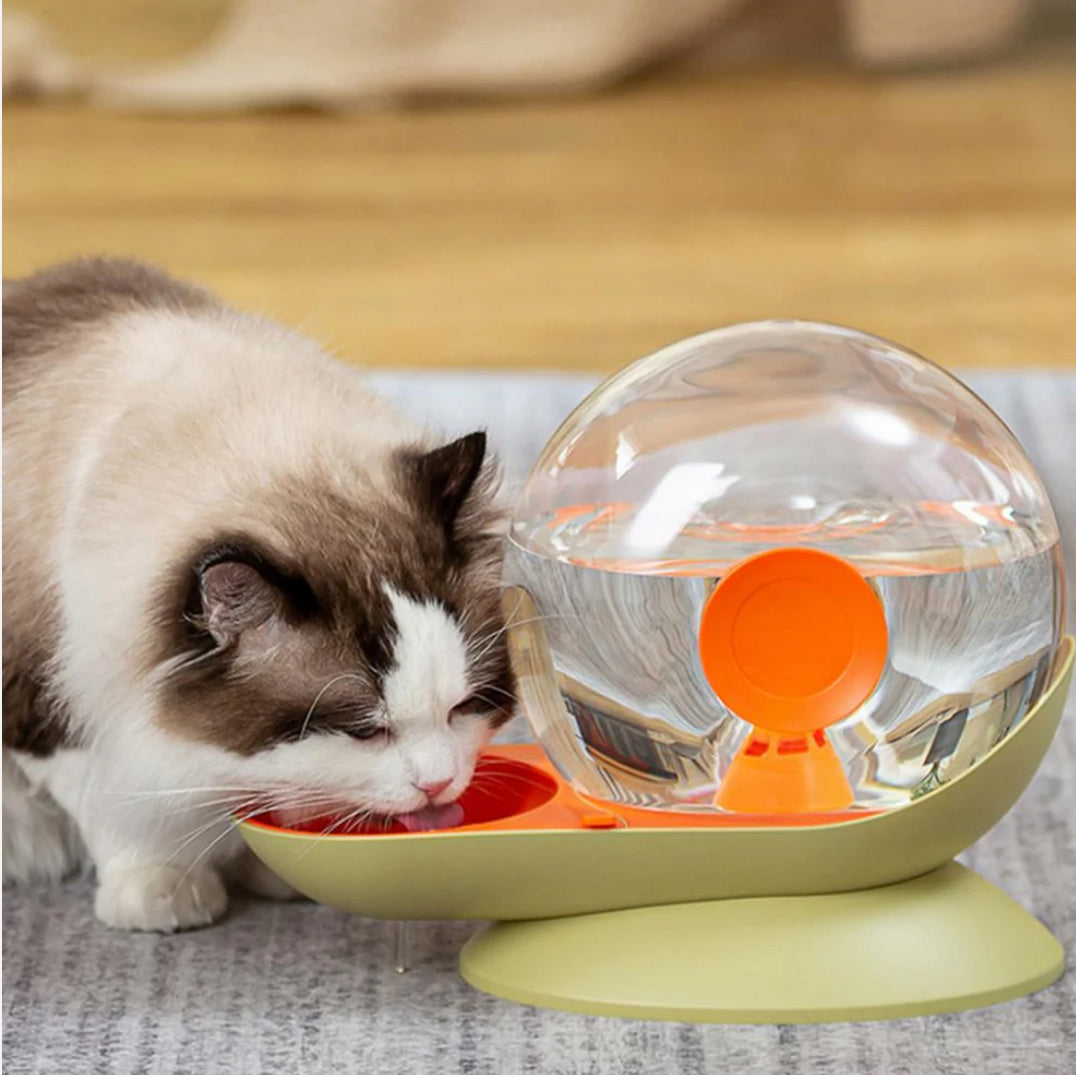 Fontana d'acqua per Gatto Design Lumaca