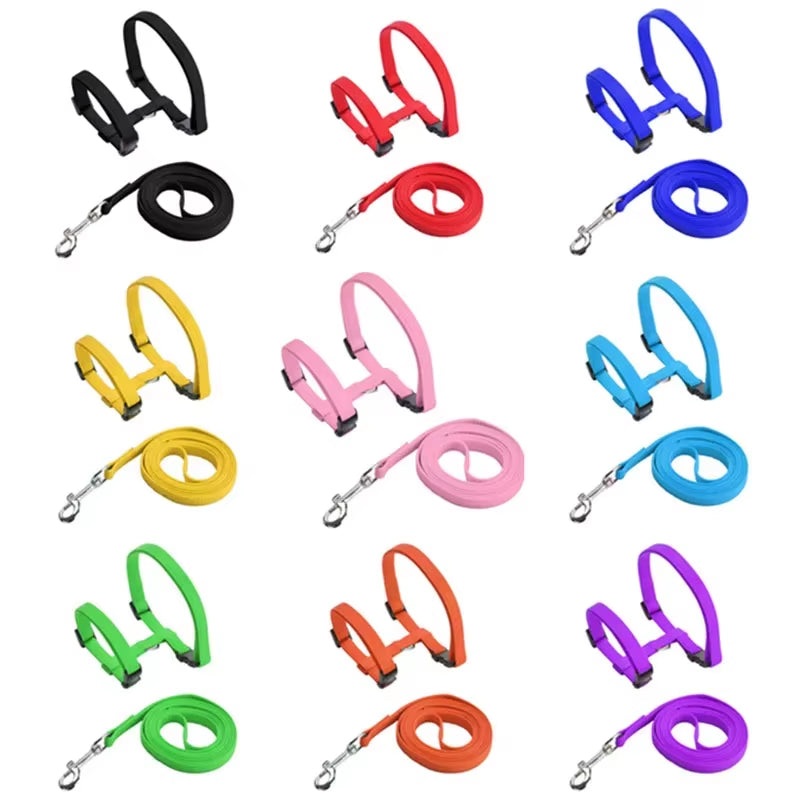 Kitten Cat Harness Leash Set Walking Escape Proof Adjustable Nylon Halter Collar Harness for Cats Puppy Rabbit Pet Accessories