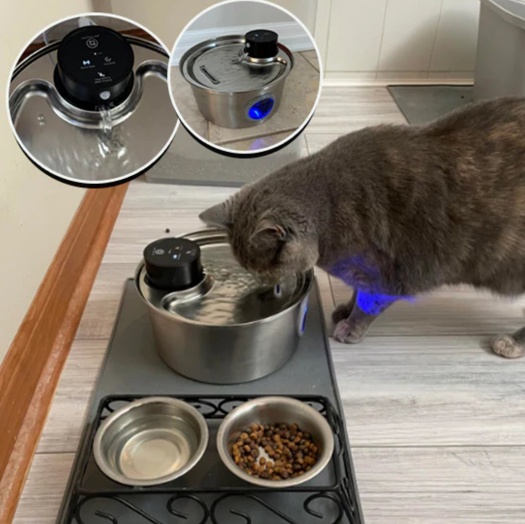 Fontana d'acqua per gatti in acciaio inox a batteria con sensore di movimento