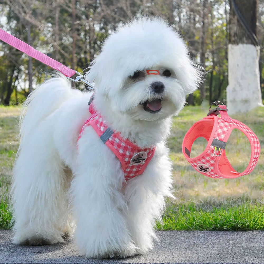 Pet Chest Back, Suitable for Cats and Dogs, Various Sizes, Plaid Pattern, Pet Leash, Pet Supplies