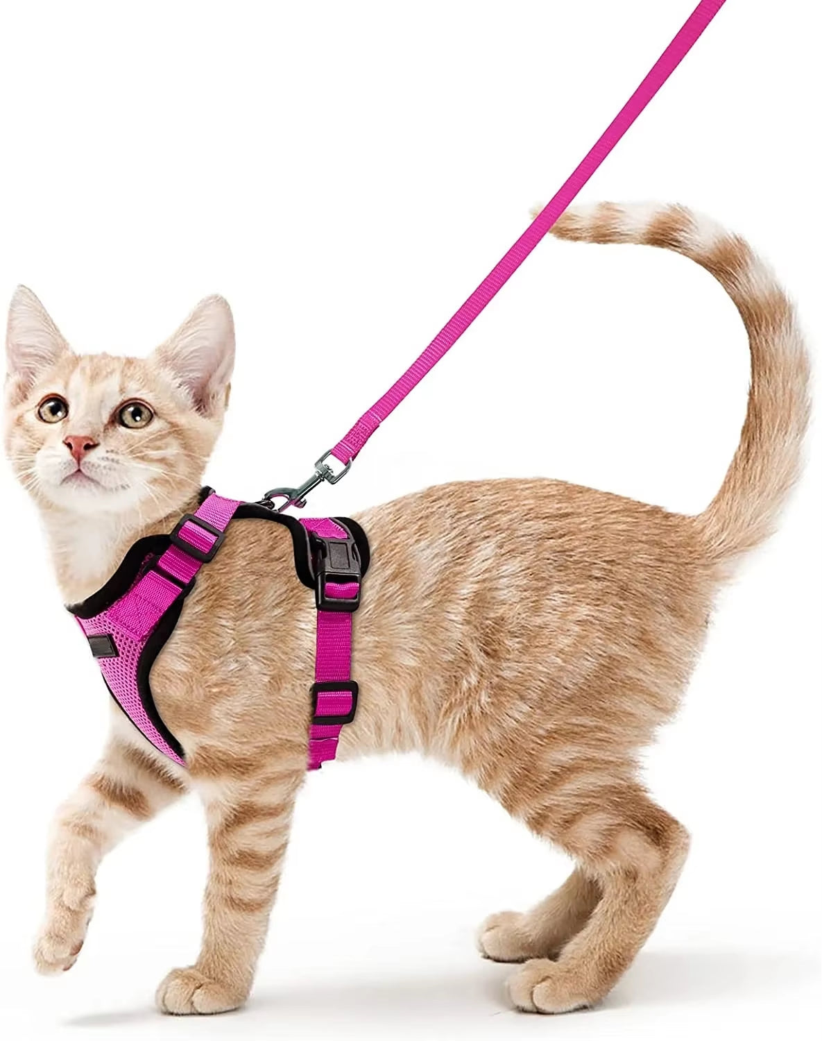 Cat Harness and Leash Set Stylish Escape Proof Cat Vest Harness Adjustable Breathable Pet Harness with Reflective Trim