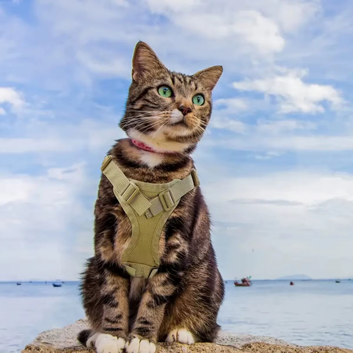 Khaki Tactical Cat Chest Harness Vest Lead Rope Anti-Break Adjustable Walking Cat Leash Dog Small Dog Chain