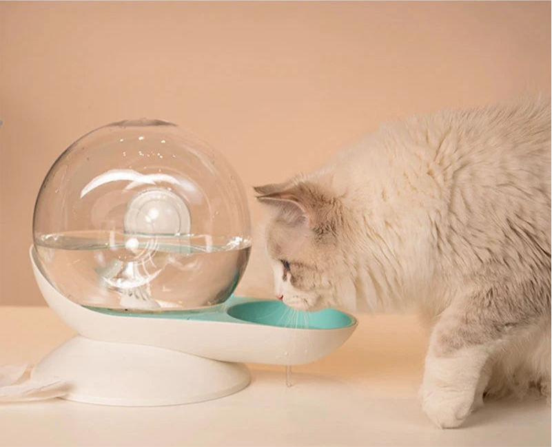 Fontana d'acqua per Gatto Design Lumaca
