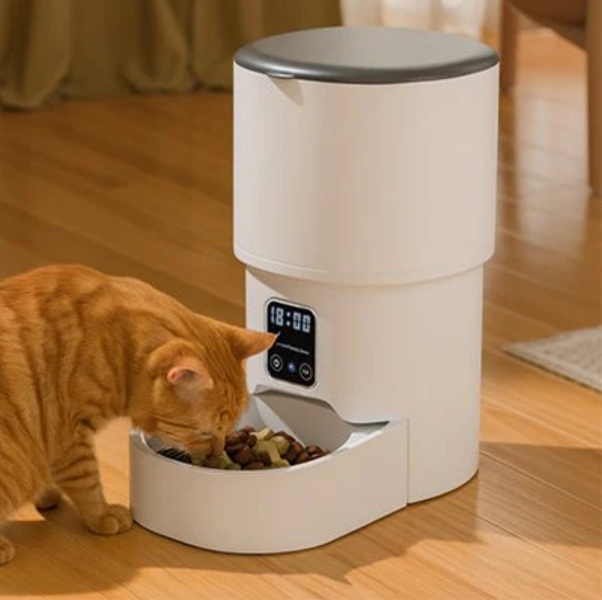 distributore di crocchette per gatti |automatico