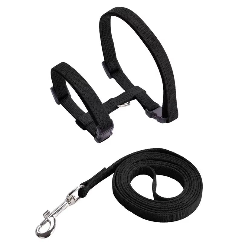 Kitten Cat Harness Leash Set Walking Escape Proof Adjustable Nylon Halter Collar Harness for Cats Puppy Rabbit Pet Accessories