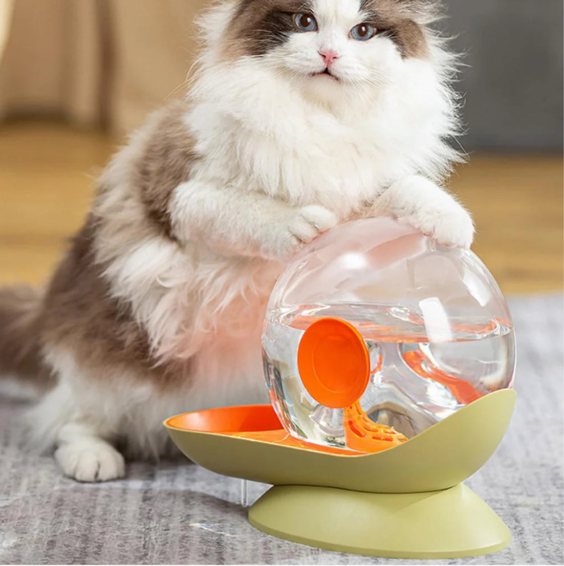Fontana d'acqua per Gatto Design Lumaca