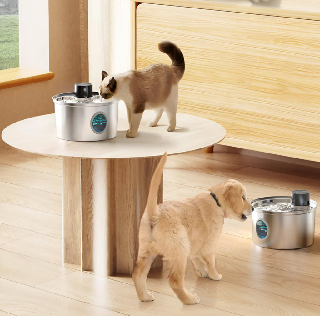 Fontana d'acqua per gatti in acciaio inox a batteria con sensore di movimento