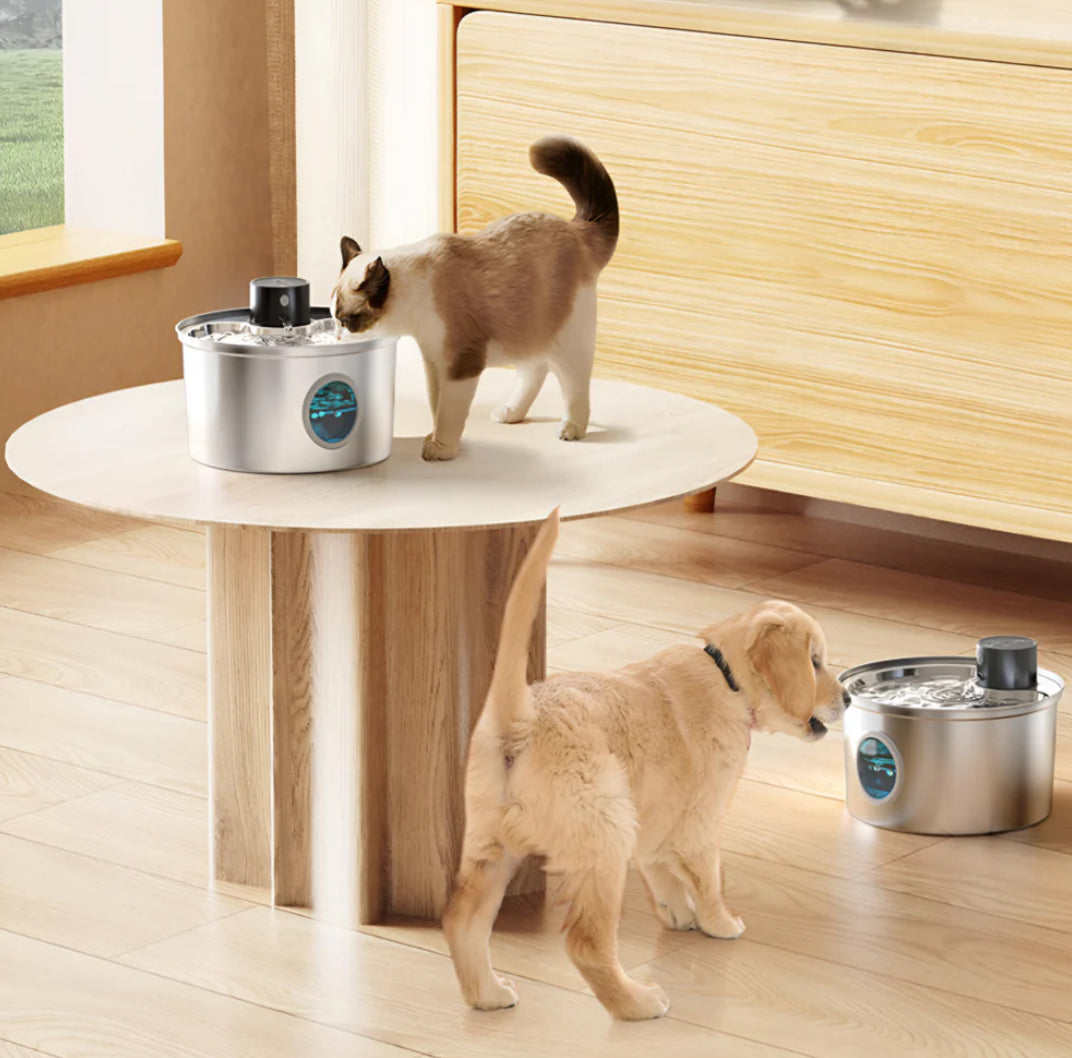 Fontana d'acqua per gatti in acciaio inox a batteria con sensore di movimento
