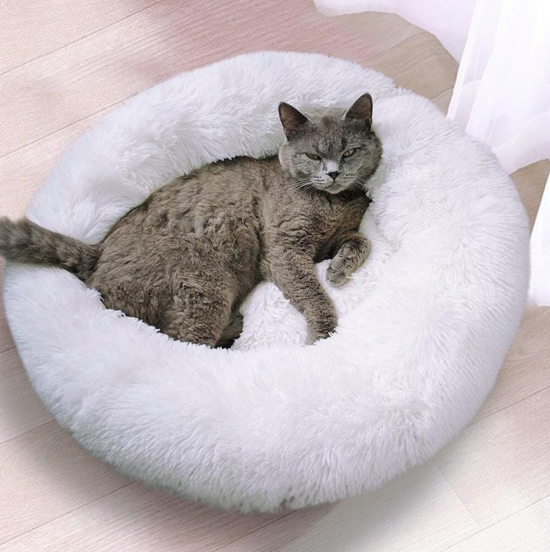 Cestino per gatto e cane comfort