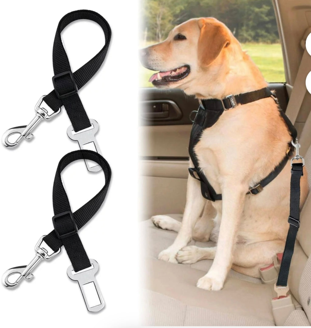 Cintura di Sicurezza per Cani