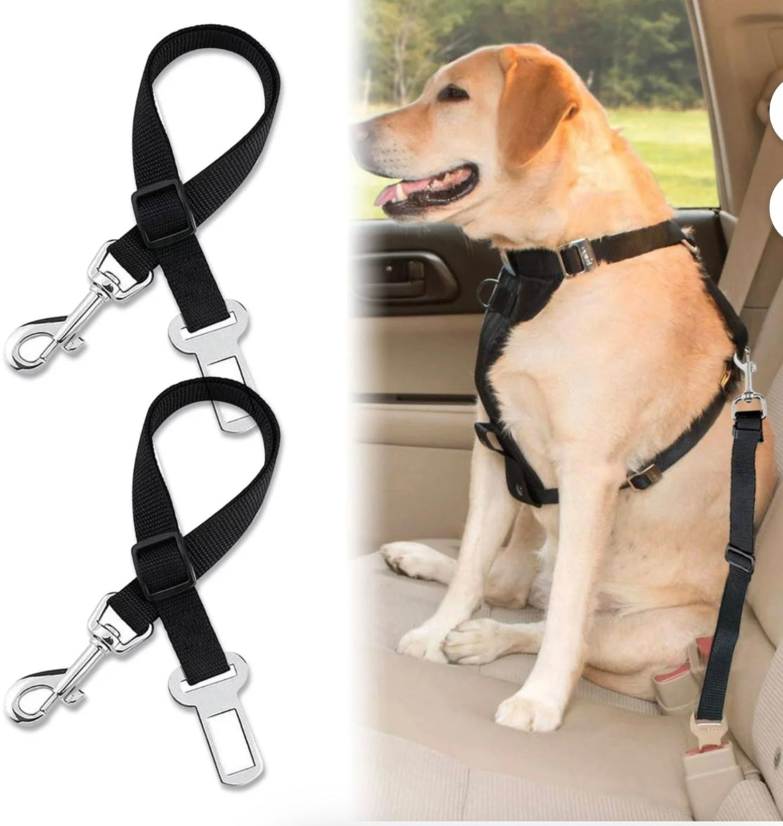 Cintura di Sicurezza per Cani