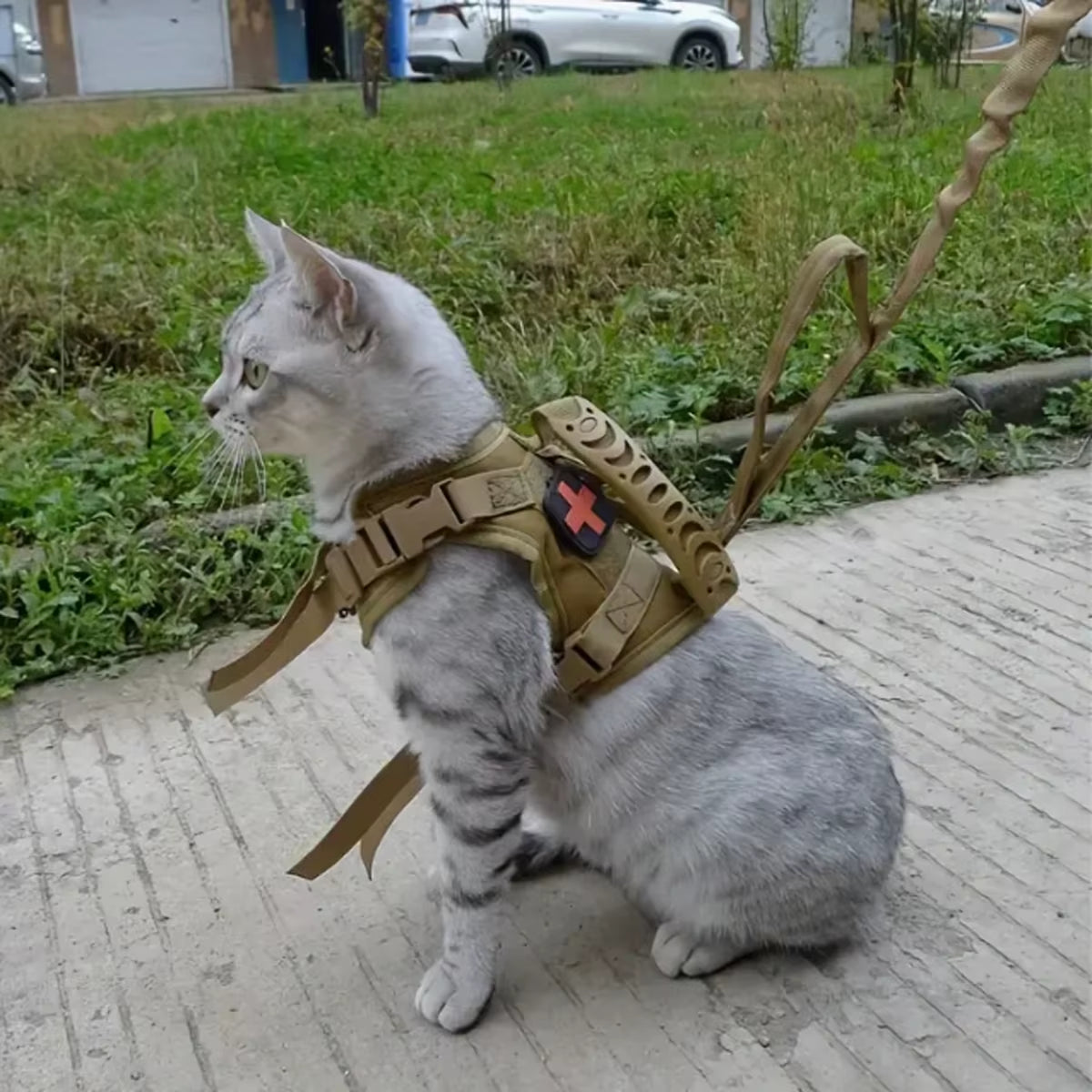 Khaki Tactical Cat Chest Harness Vest Lead Rope Anti-Break Adjustable Walking Cat Leash Dog Small Dog Chain