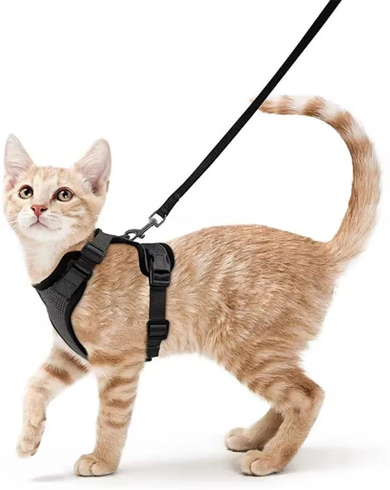 Cat Harness and Leash Set Stylish Escape Proof Cat Vest Harness Adjustable Breathable Pet Harness with Reflective Trim