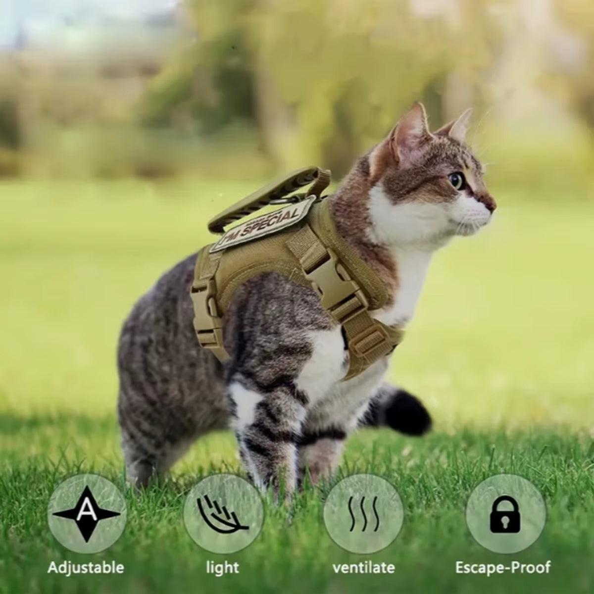 Khaki Tactical Cat Chest Harness Vest Lead Rope Anti-Break Adjustable Walking Cat Leash Dog Small Dog Chain