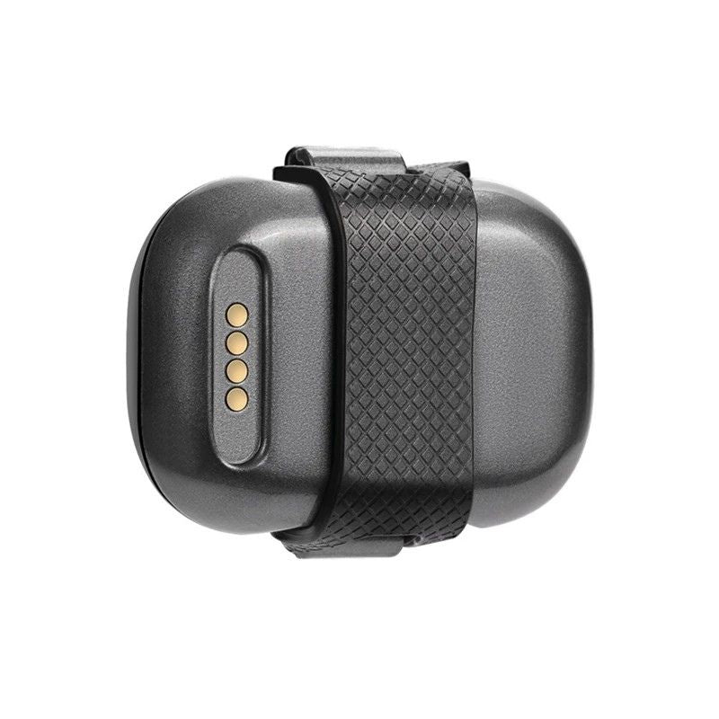 Collier GPS Chat