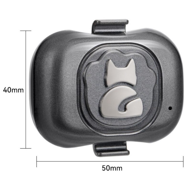 Collier GPS Chat