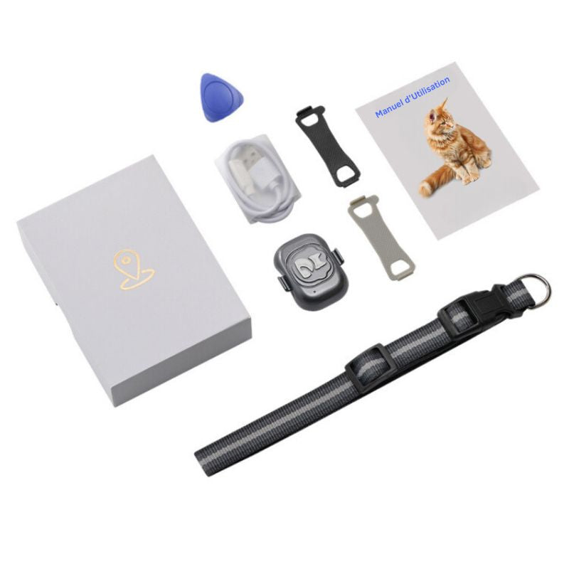 Collier GPS Chat