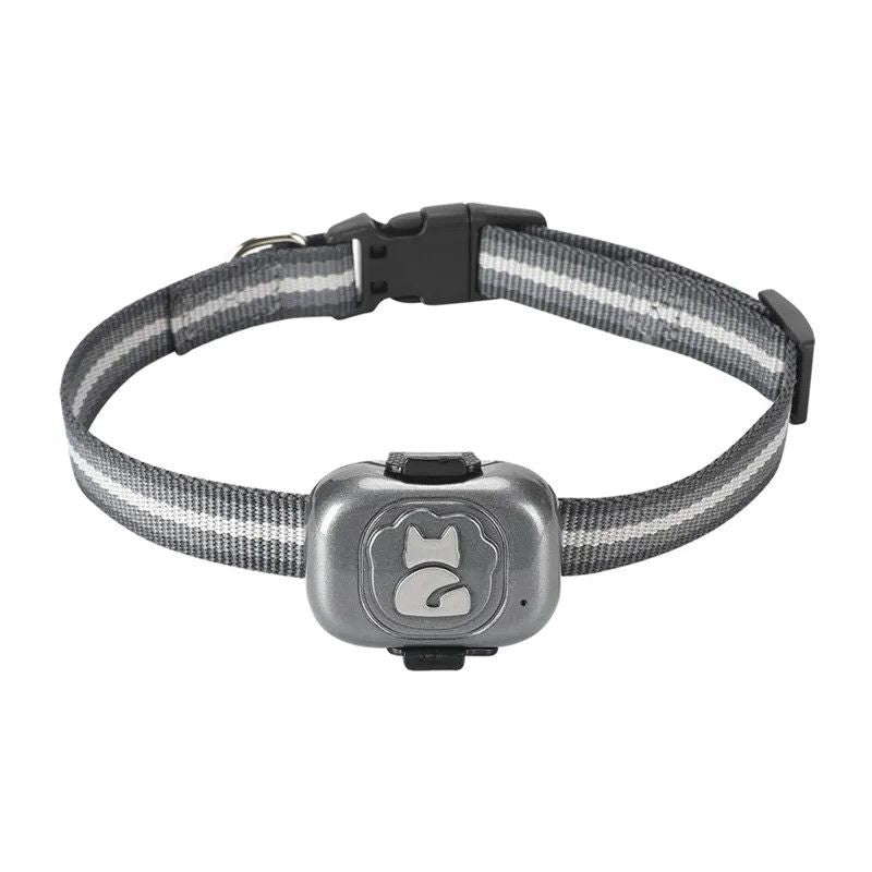 Collier GPS Chat