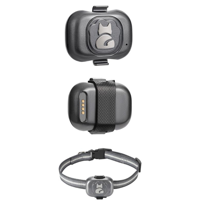 Collier GPS Chat
