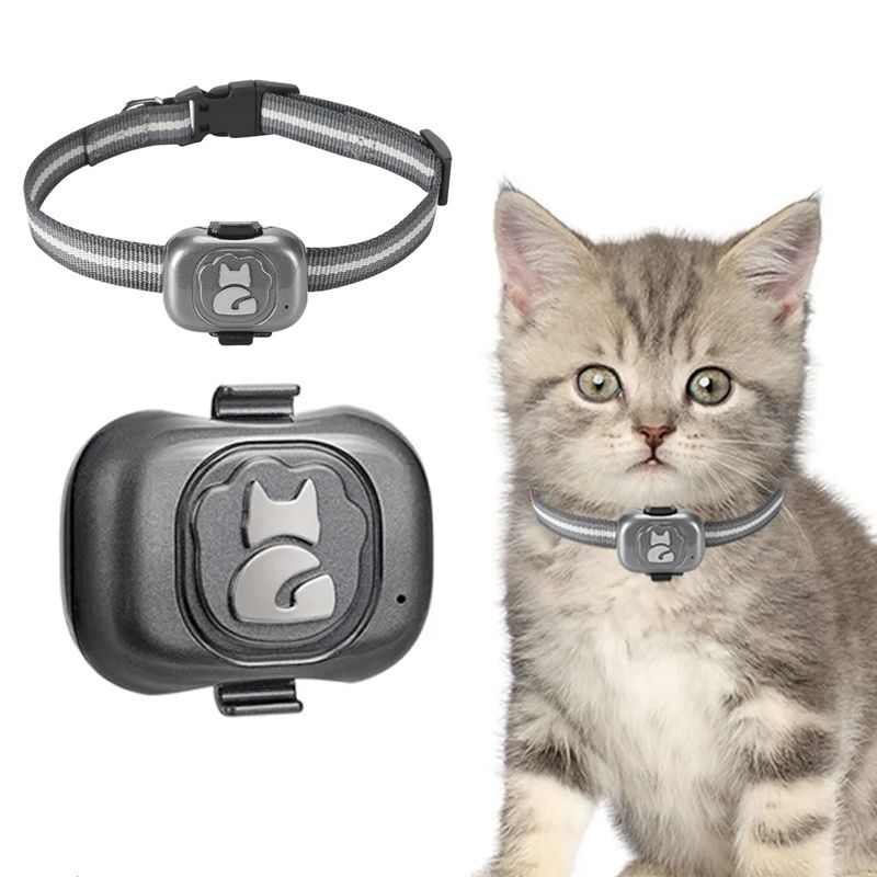Collier GPS Chat